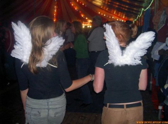 Klik op de foto om originele grootte te bekijken