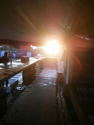 Klik op de foto om originele grootte te bekijken